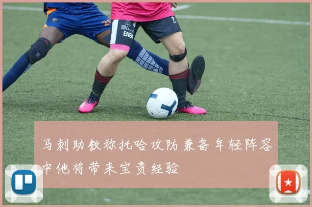马刺助教称托哈攻防兼备年轻阵容中他将带来宝贵经验