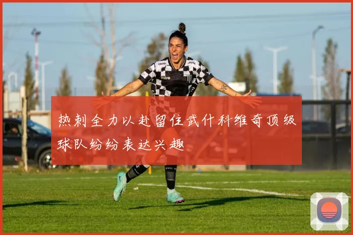 热刺全力以赴留住武什科维奇顶级球队纷纷表达兴趣