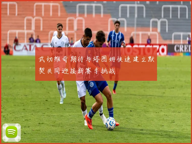 武切维奇期待与塔图姆快速建立默契共同迎接新赛季挑战